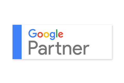 Gestione Campagne Google
